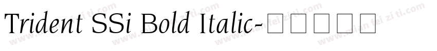 Trident SSi Bold Italic字体转换